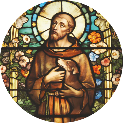 Imagen de En Construcción